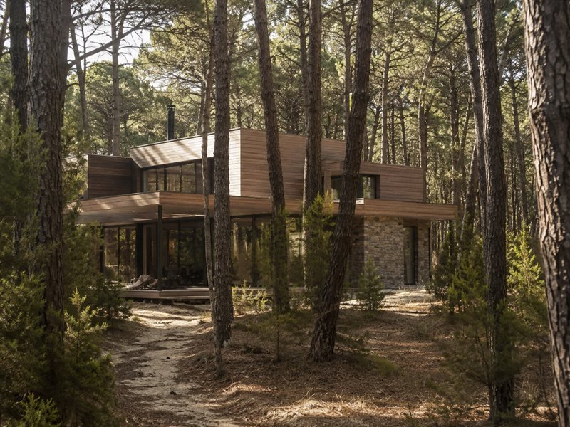 Acceso y umbral: sendero en el bosque de Cariló hacia la vivienda